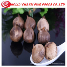 Preventing and curing of cancer solo black garlic